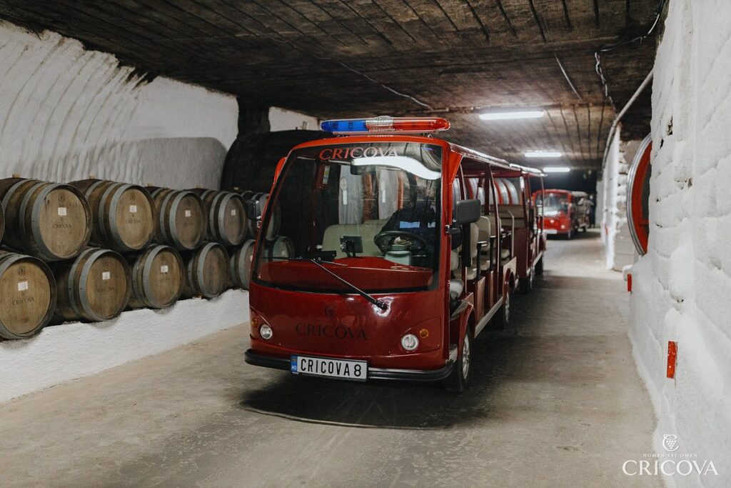 tours-by-electric-train