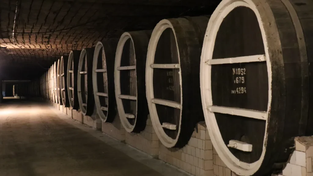 wine-cellar-storage